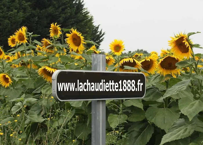 La Chaudiette 1888 度假居