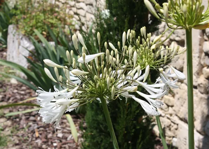 La Chaudiette 1888 *